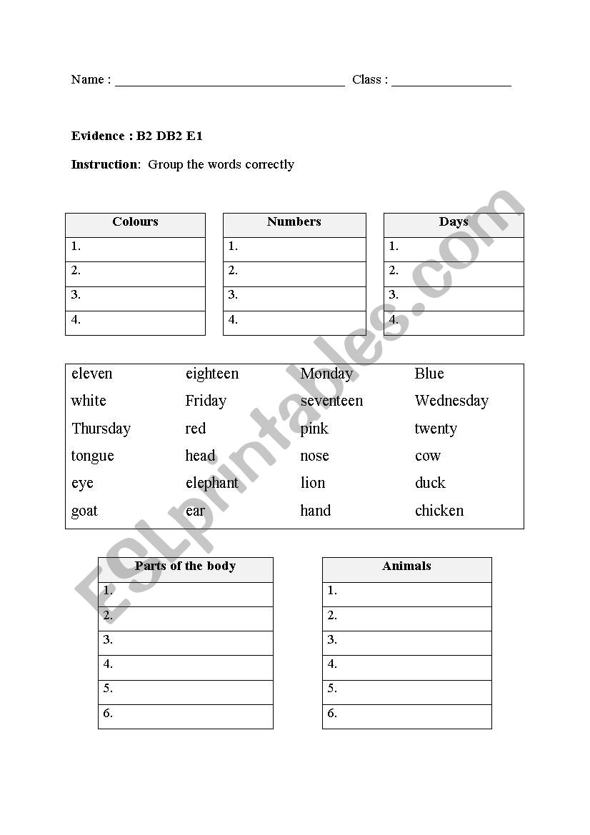 group the words worksheet