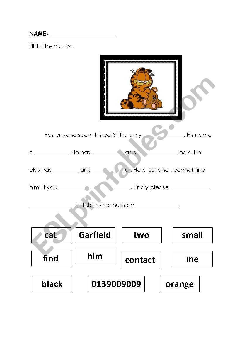 My Missing Pet. worksheet