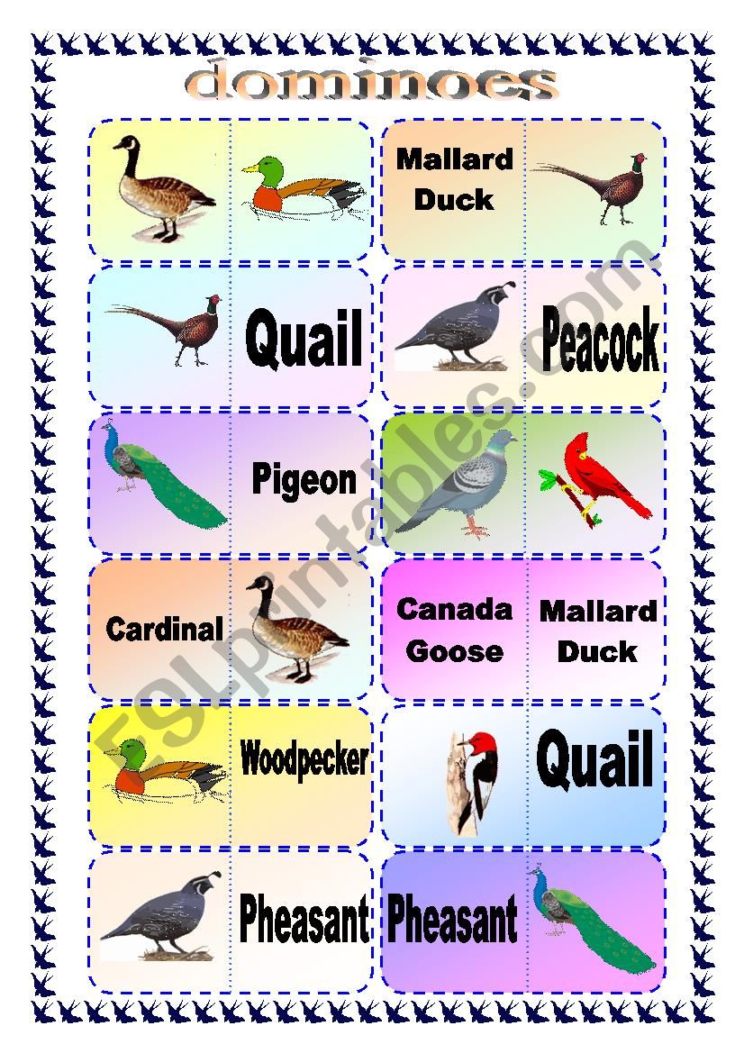 Bird Breed Domino Game worksheet