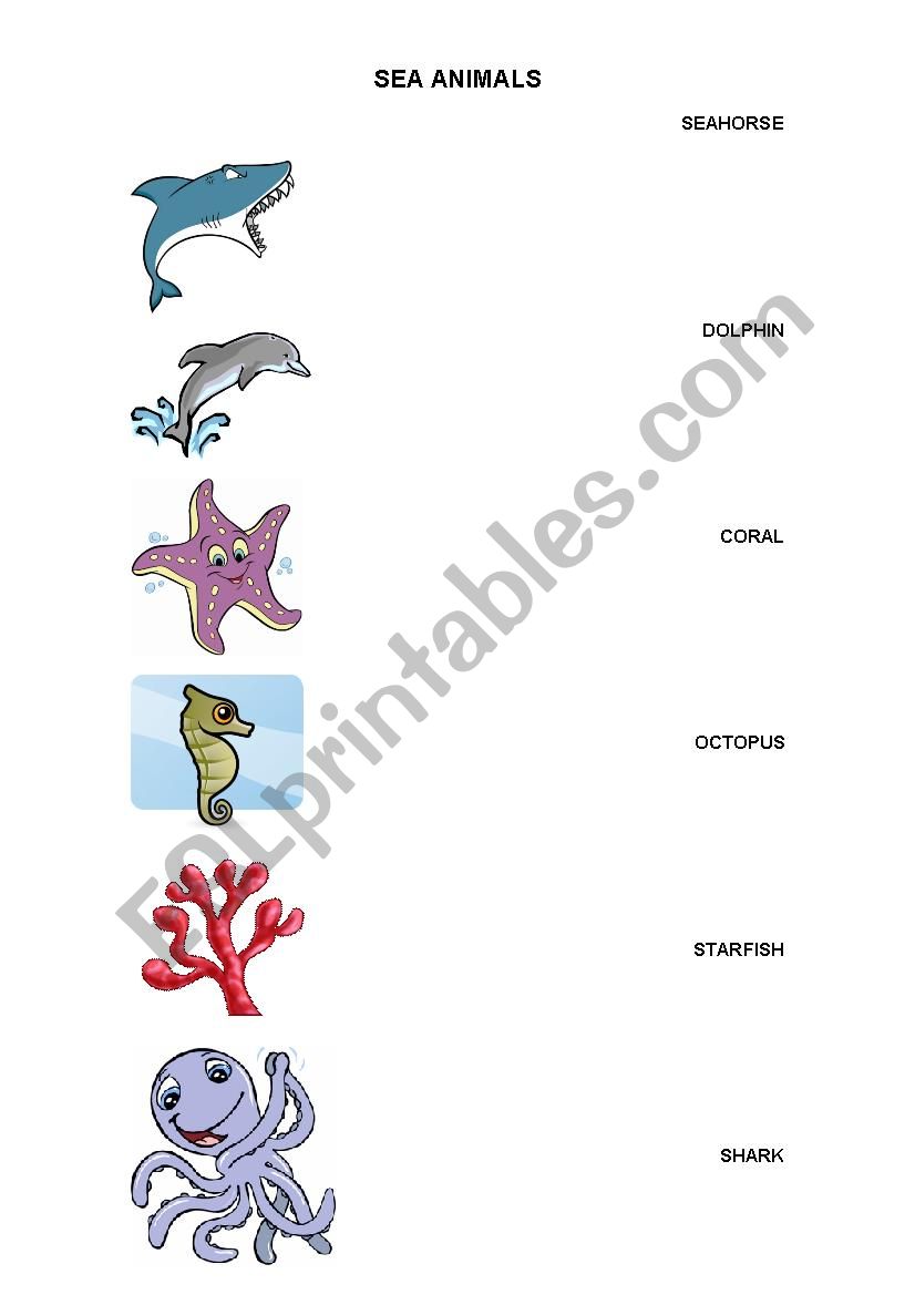 Sea Animals - Matching - ESL worksheet by Jessi J