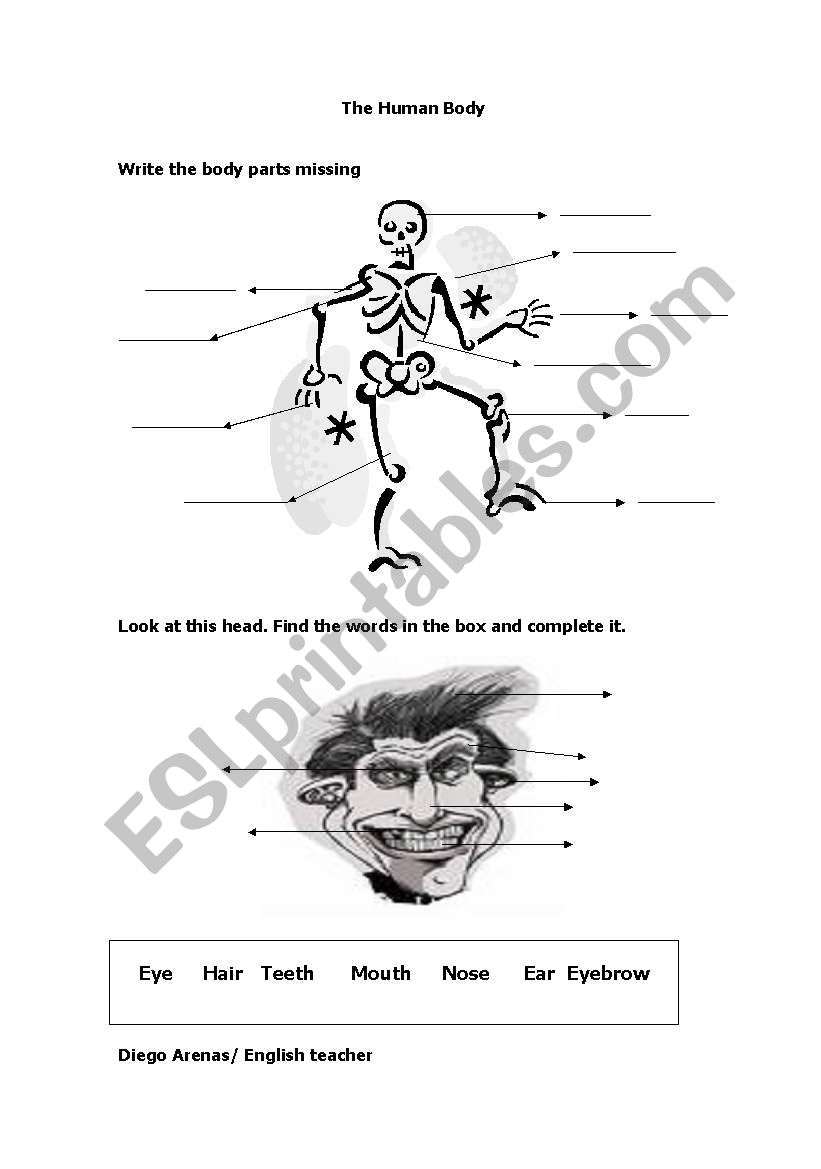 Human Body worksheet