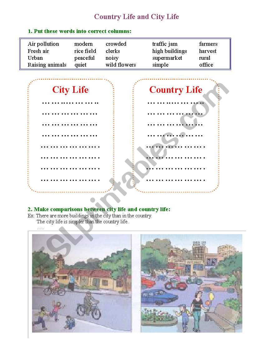 city vs country worksheet