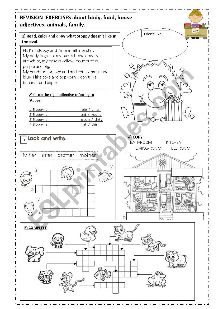 vocabulary revision worksheet