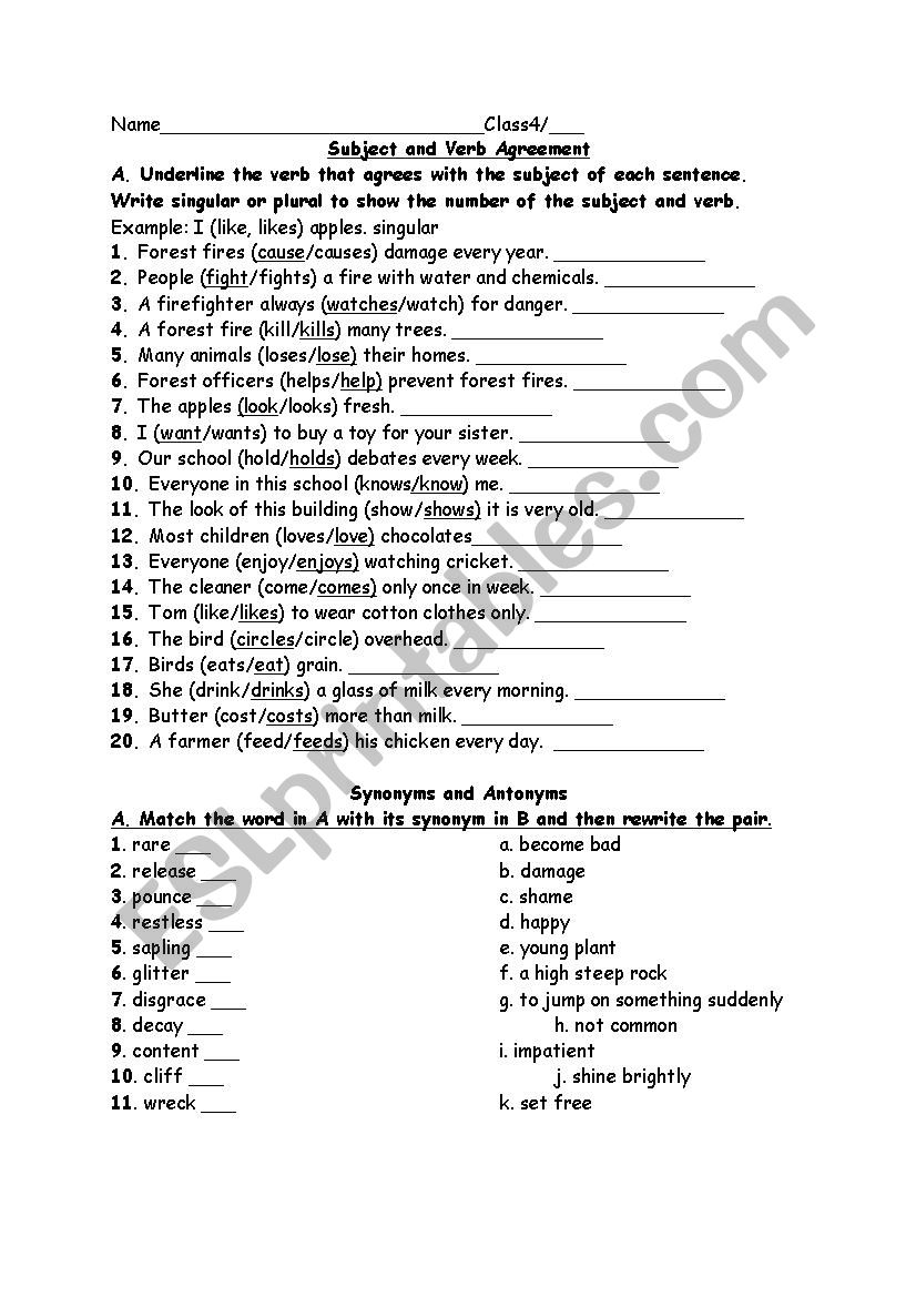 Synonyms and Antonyms  worksheet