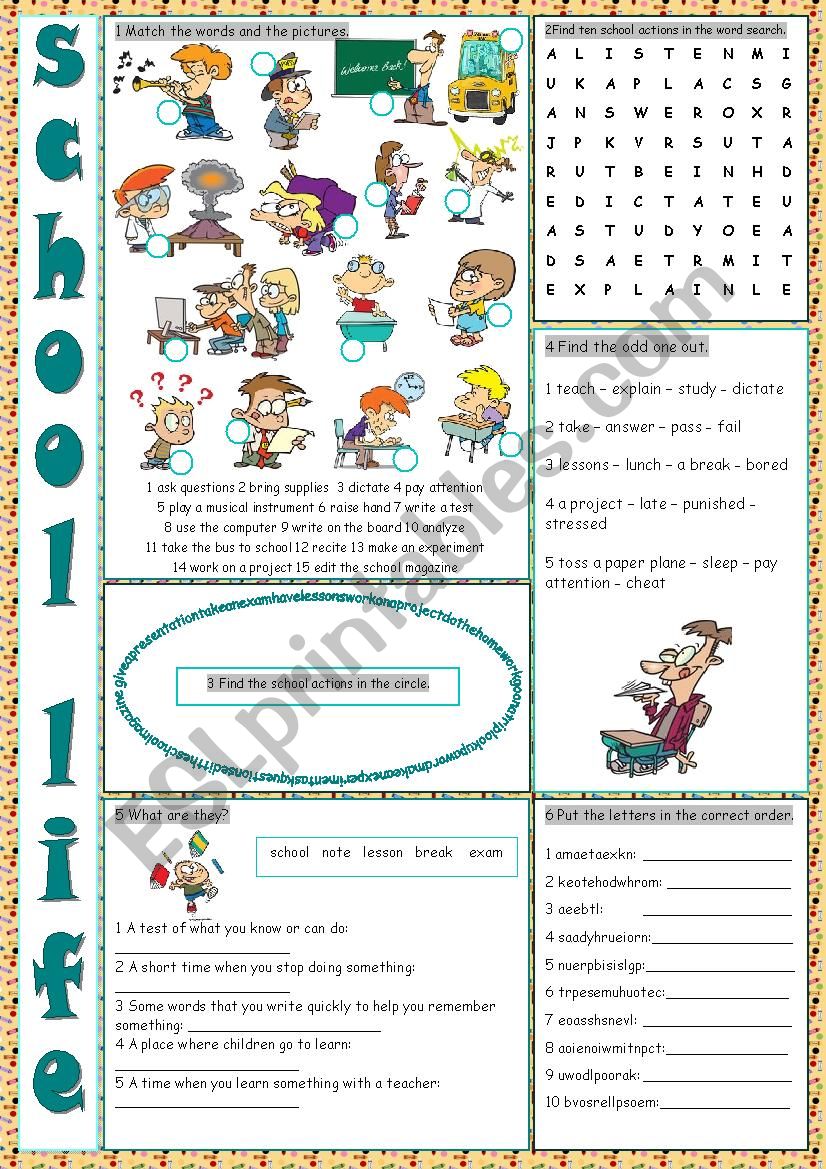 School Life Vocabulary Exercises