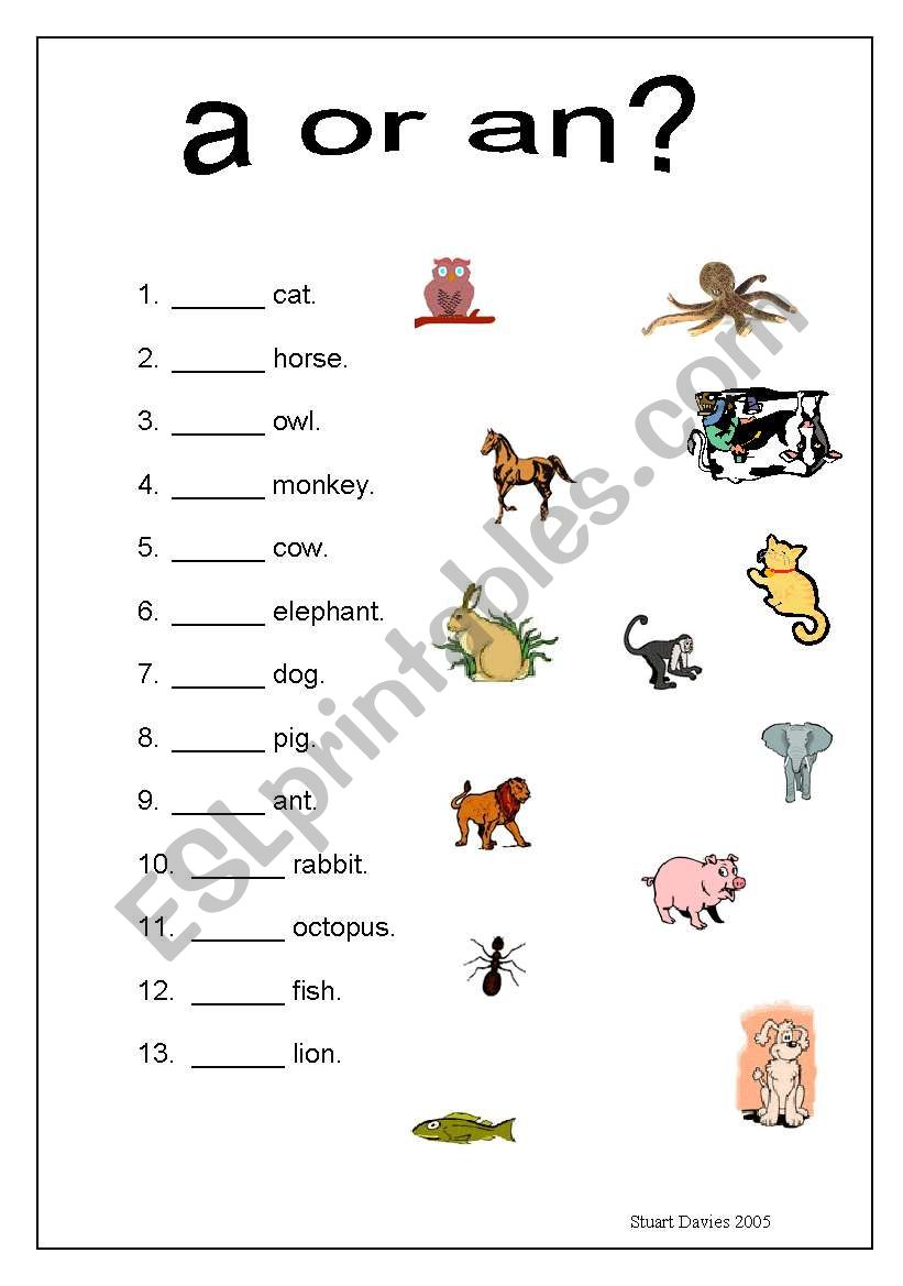 A Or An Animals Worksheet Esl Worksheet By Stoodi