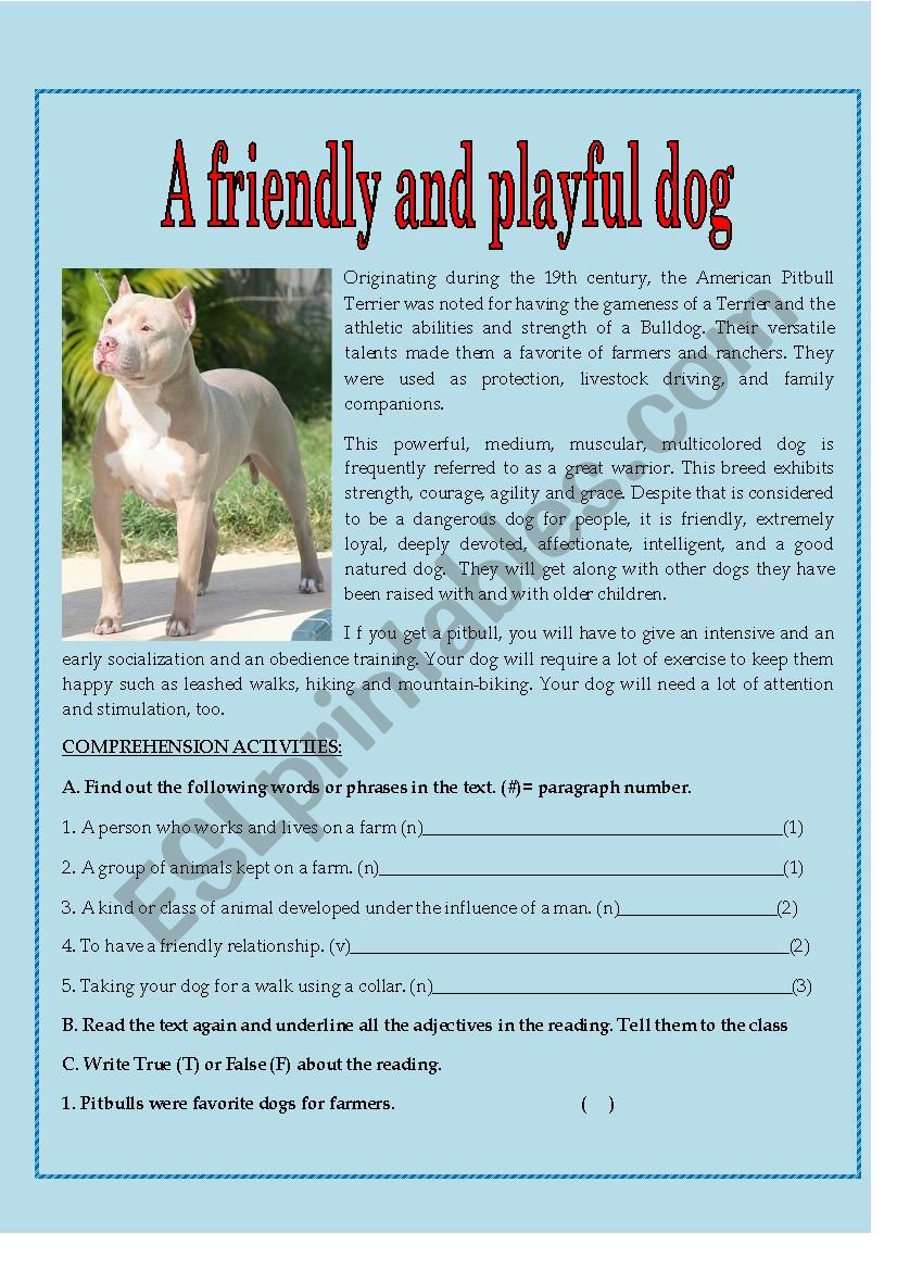 A friendly and playful dog worksheet