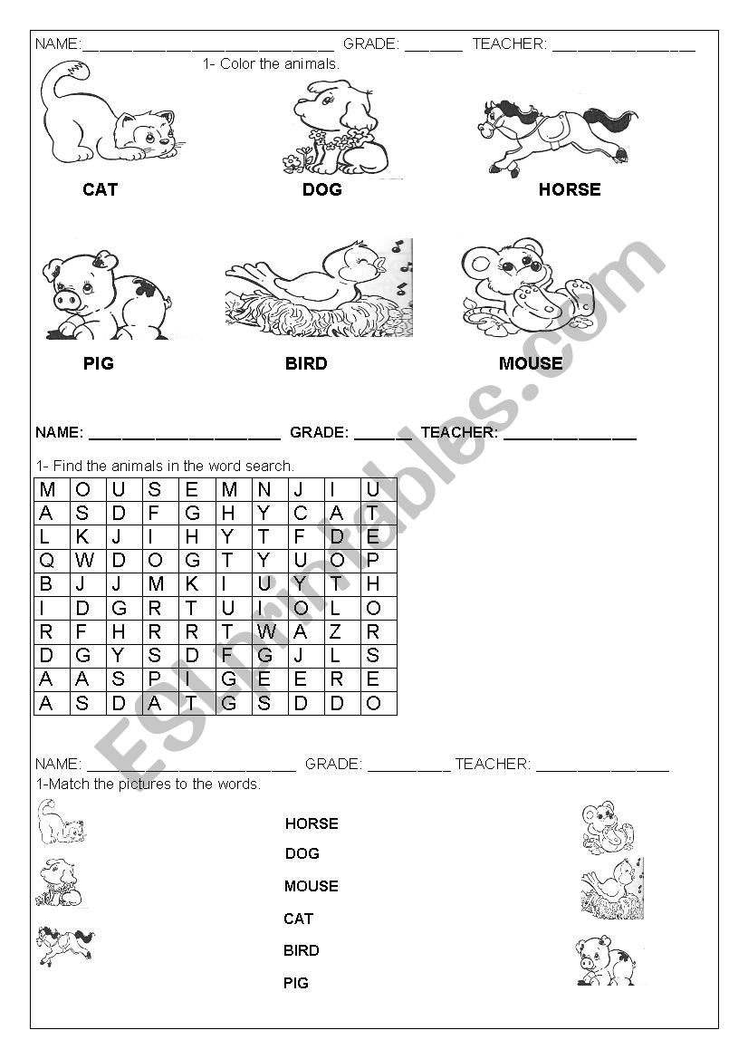 Activities about animlas. worksheet