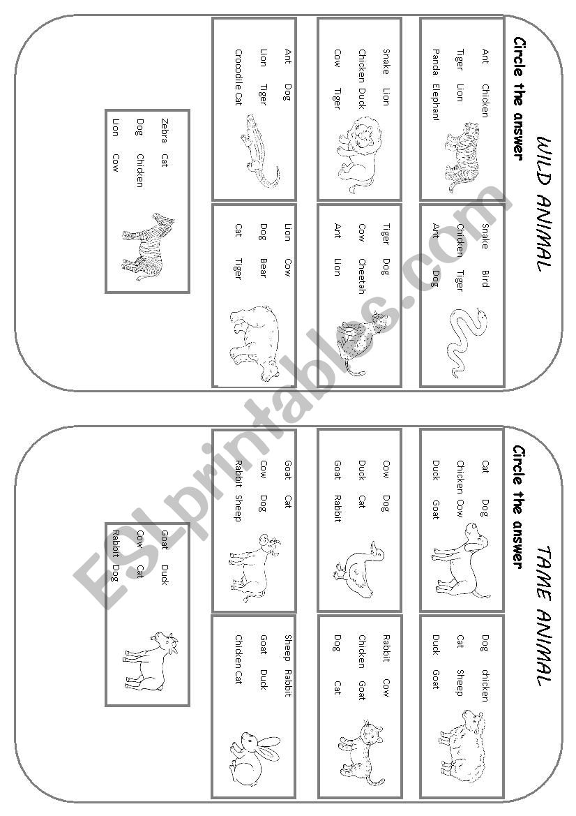 animals excercise  worksheet