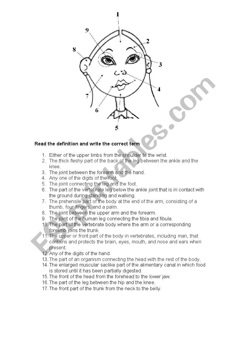 Parts of the body worksheet