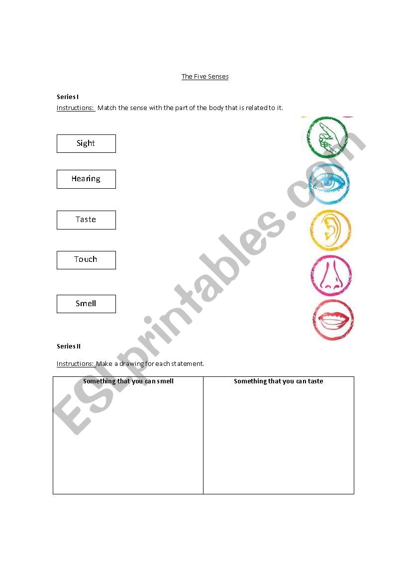 The five senses worksheet