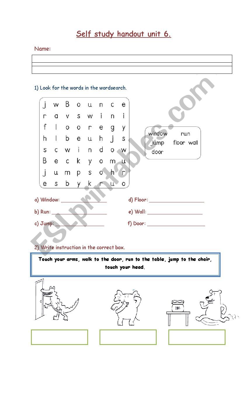 following instructions worksheet