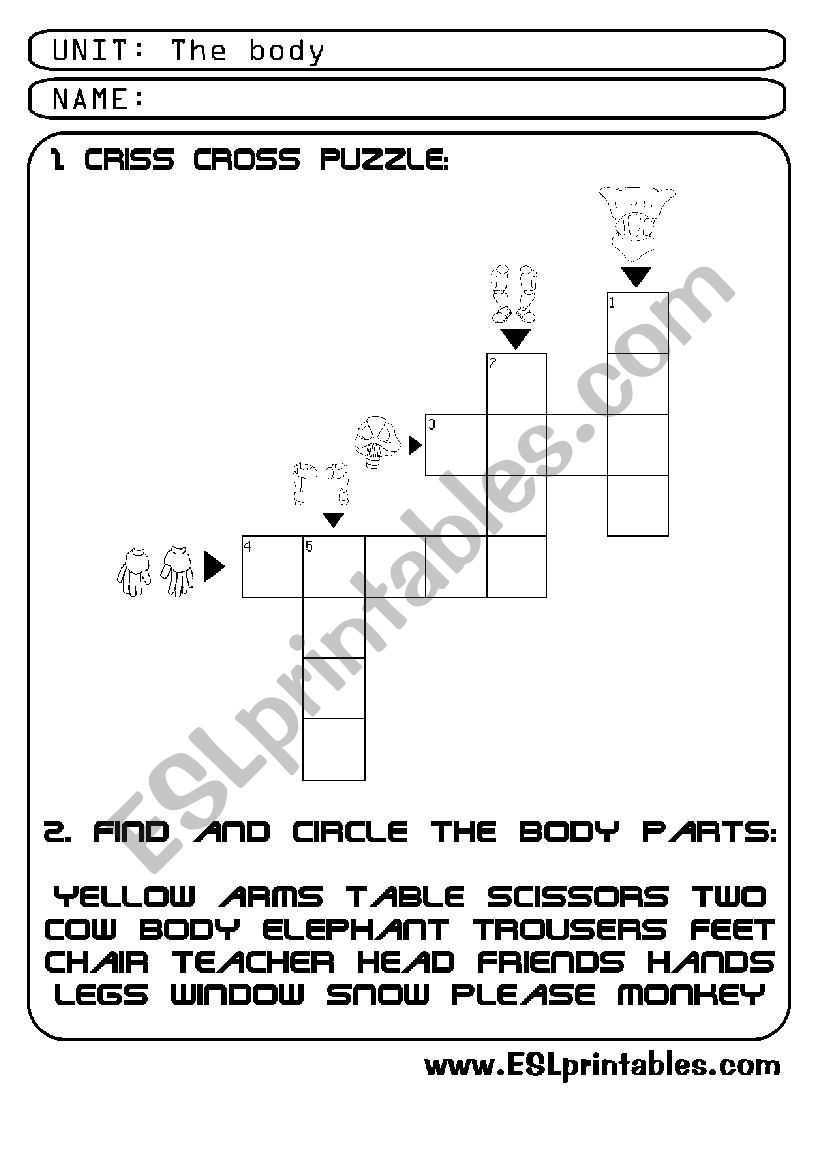 The body: criss-cross worksheet