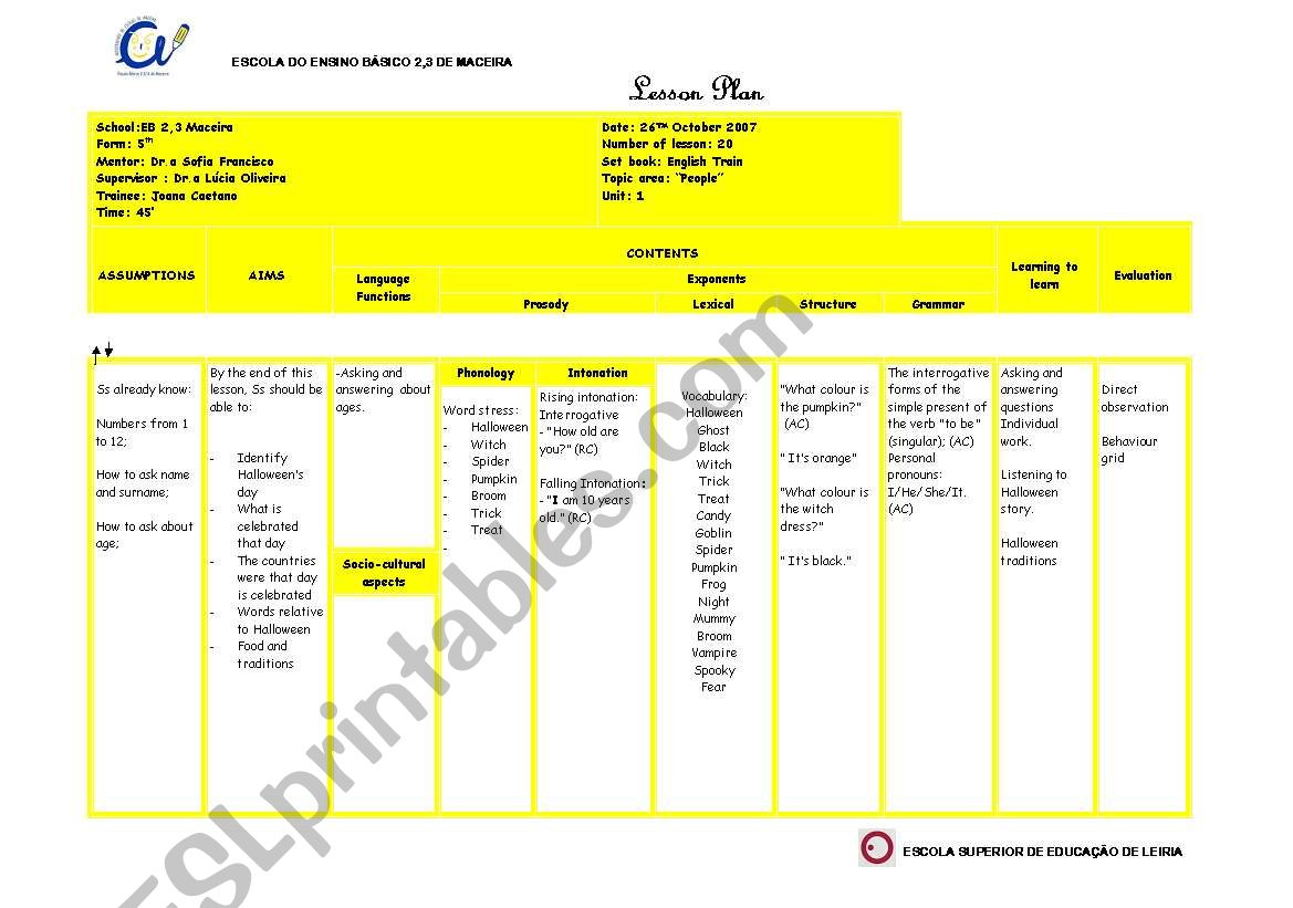 lesson plan worksheet