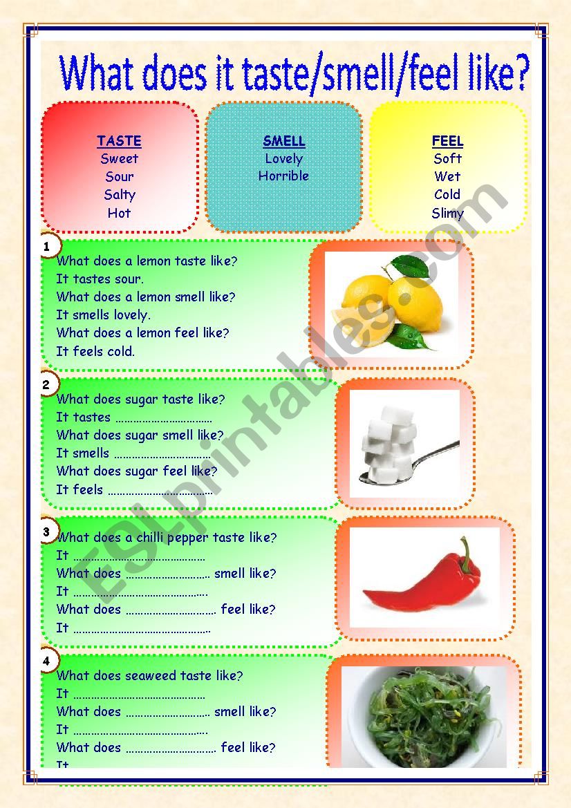 taste smell feel worksheet