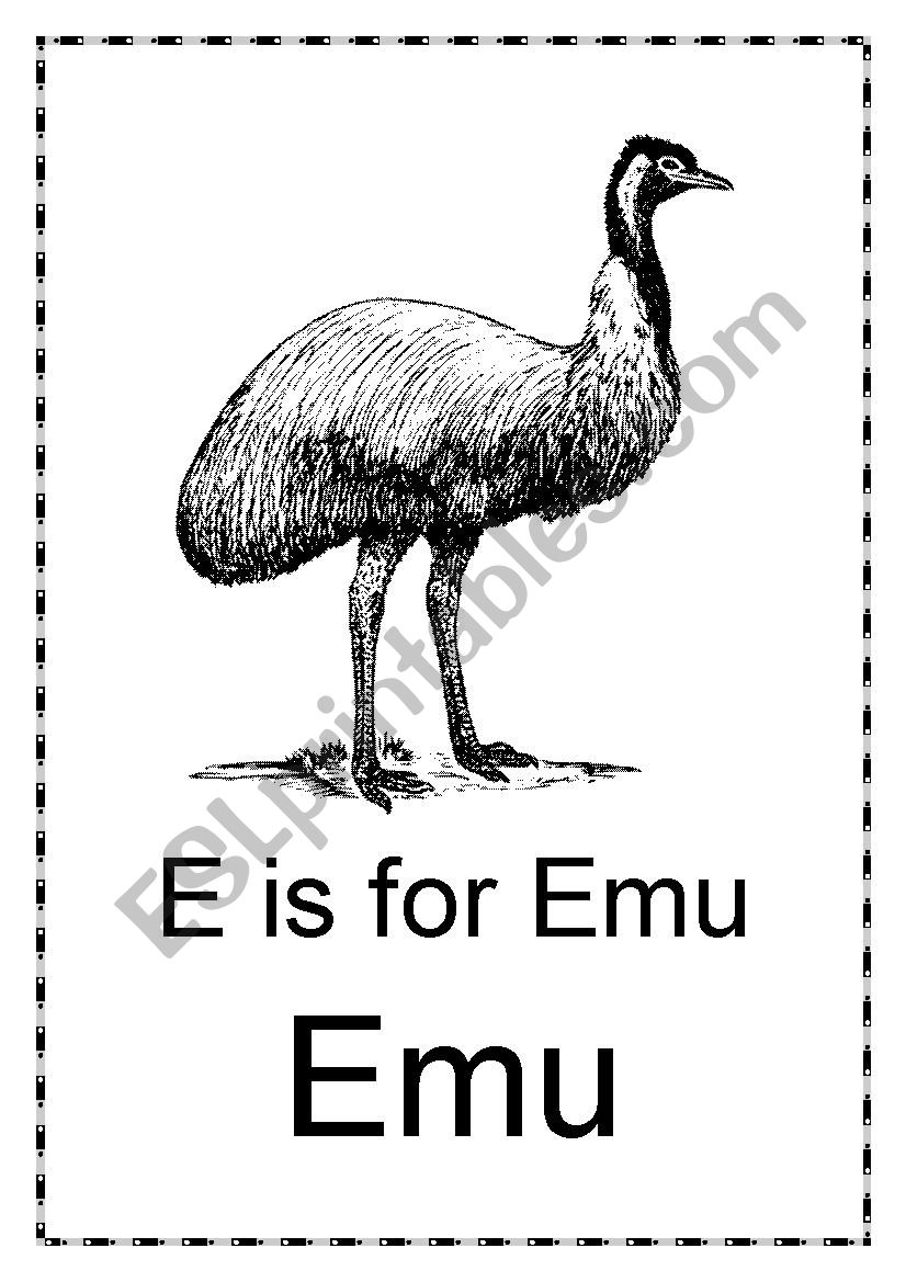 E is for Emu and Echidna worksheet