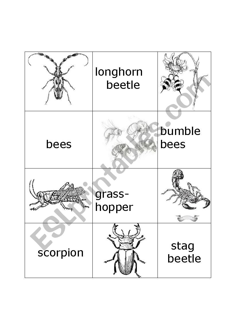 bugs memory worksheet