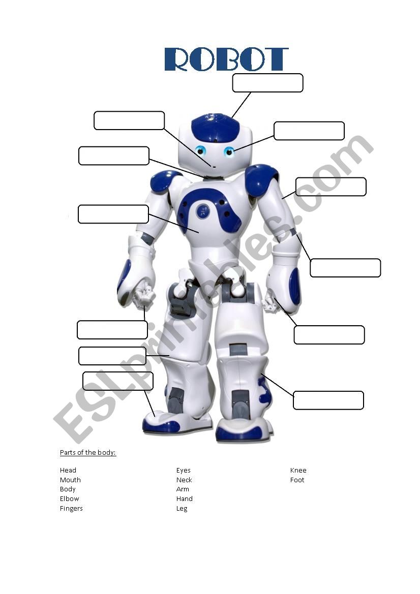 Parts of the body worksheet