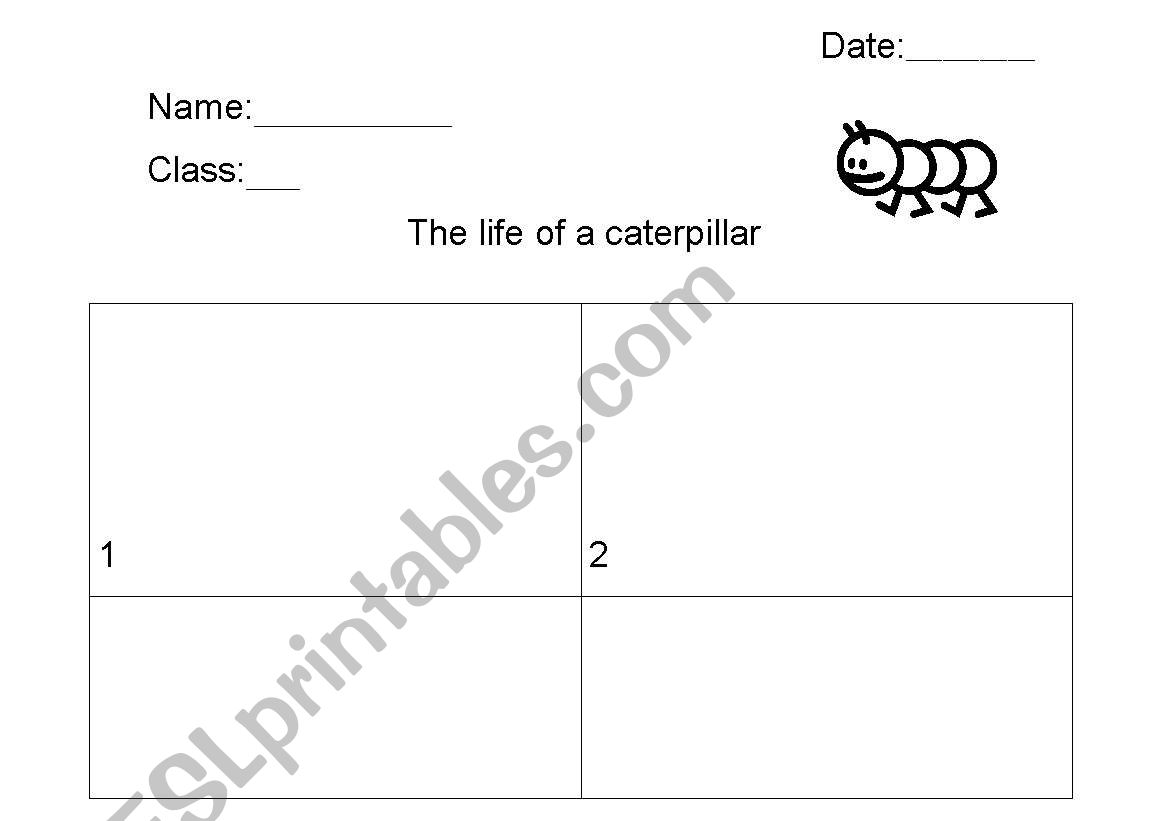 The life of a caterpillar worksheet