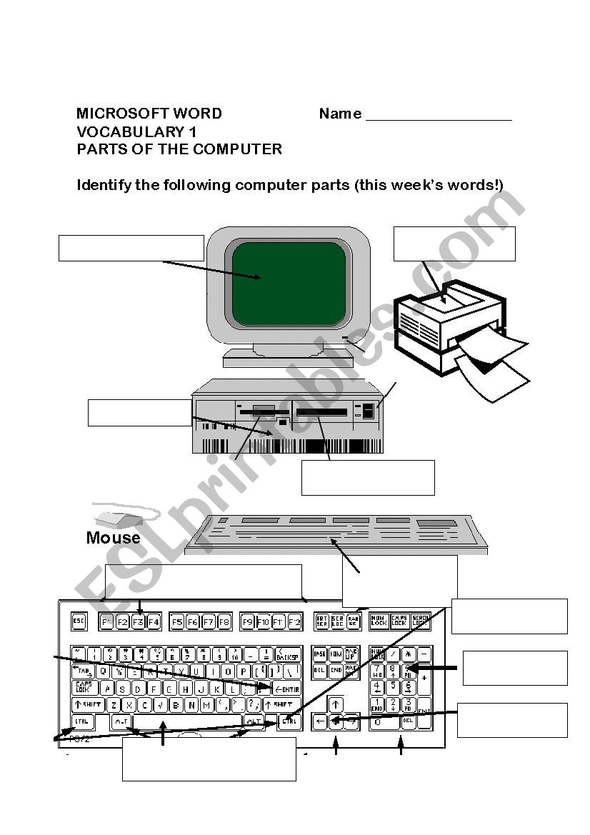 Parts of the computer worksheet