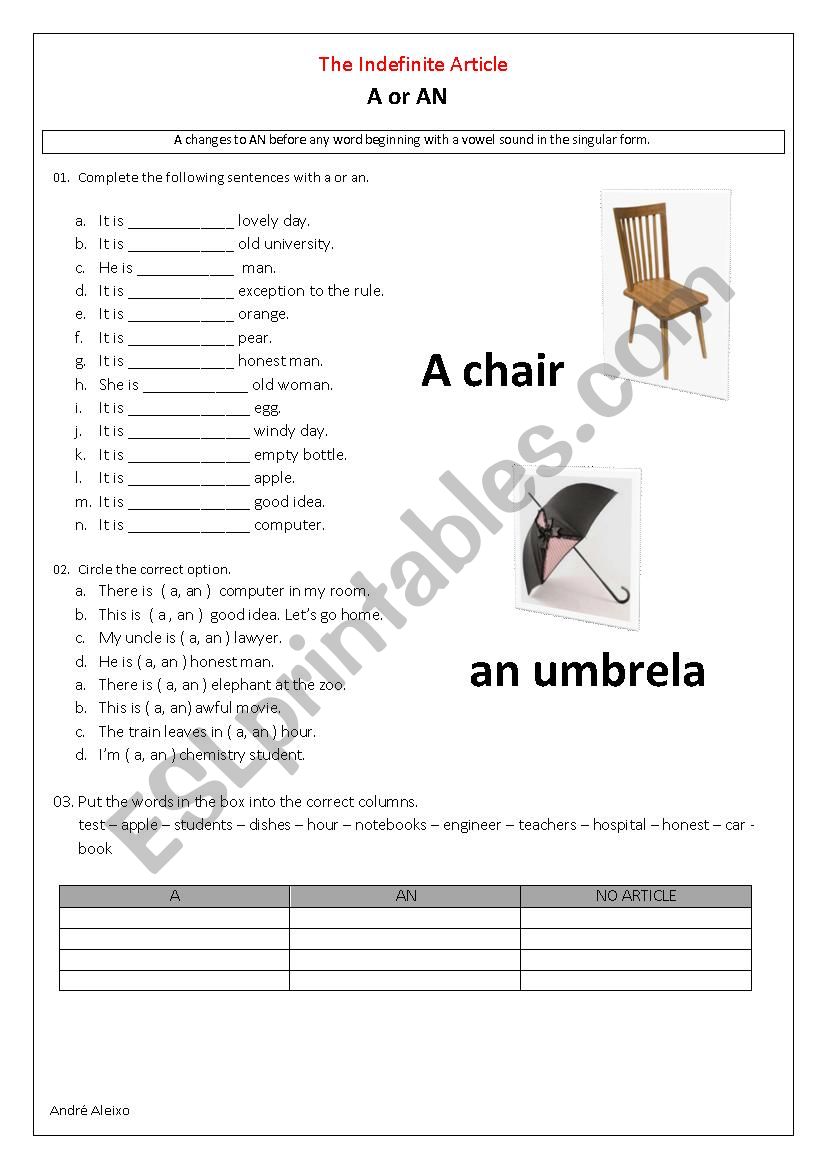 Article A x AN worksheet