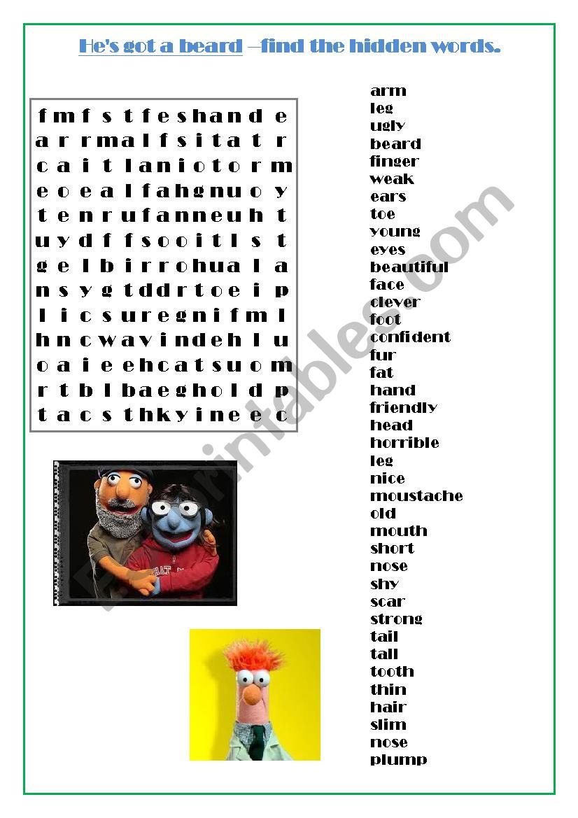 Appearance and parts of body worksheet