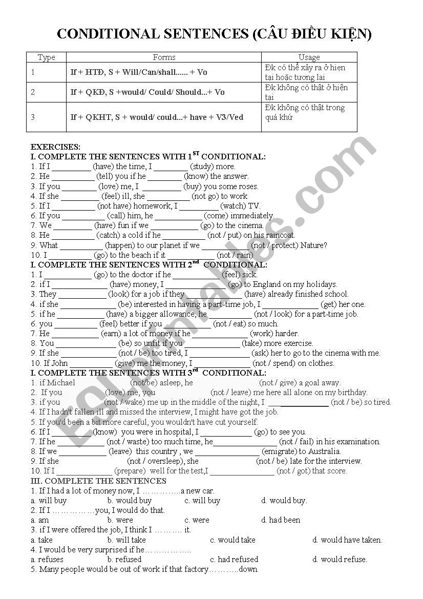 conditional sentences worksheet