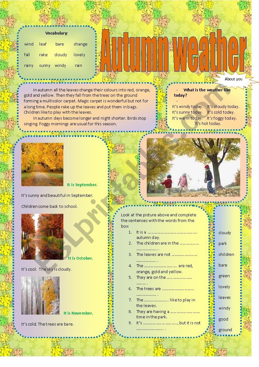 Autumn weather worksheet