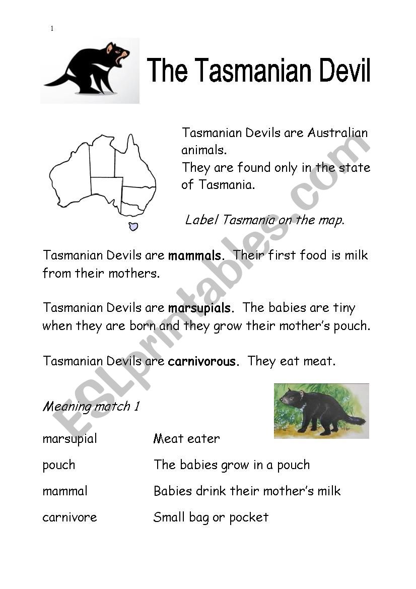Tasmanian Devil worksheet