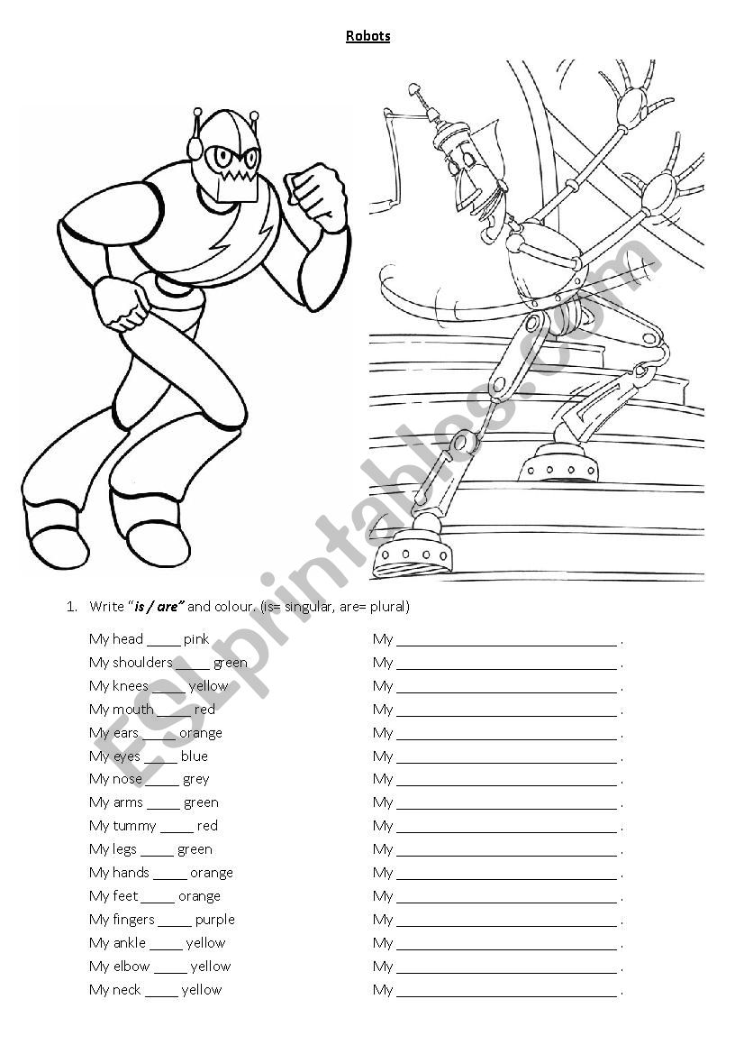 Parts of the body and colours worksheet
