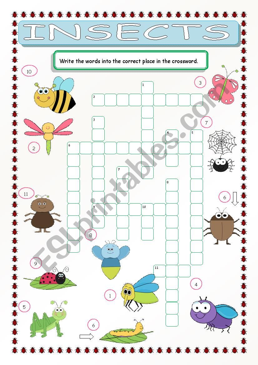 Insects Crossword worksheet