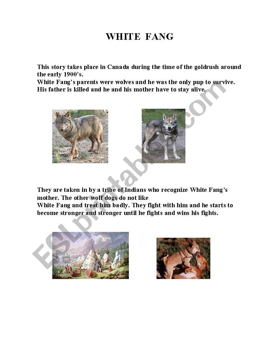 White Fang worksheet