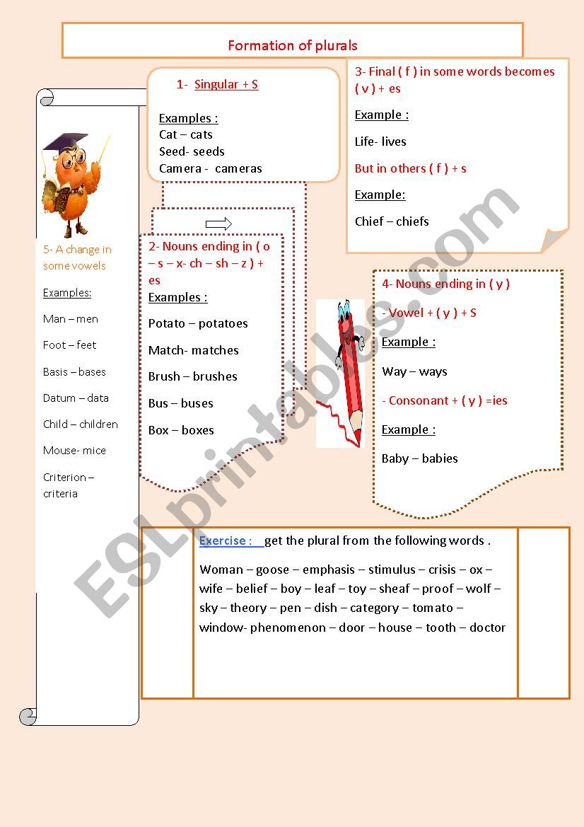 formation of plurals  worksheet