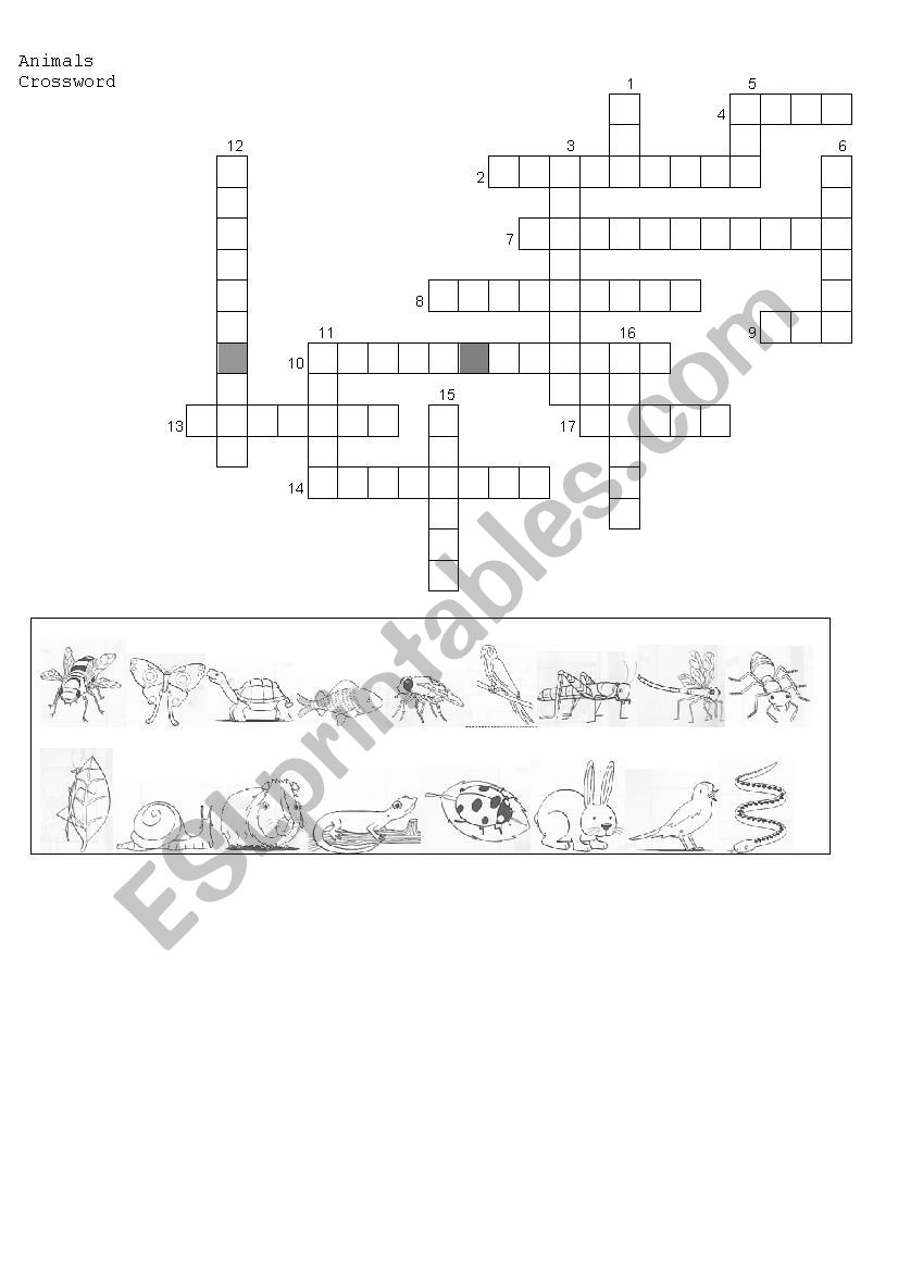 animals crossword worksheet