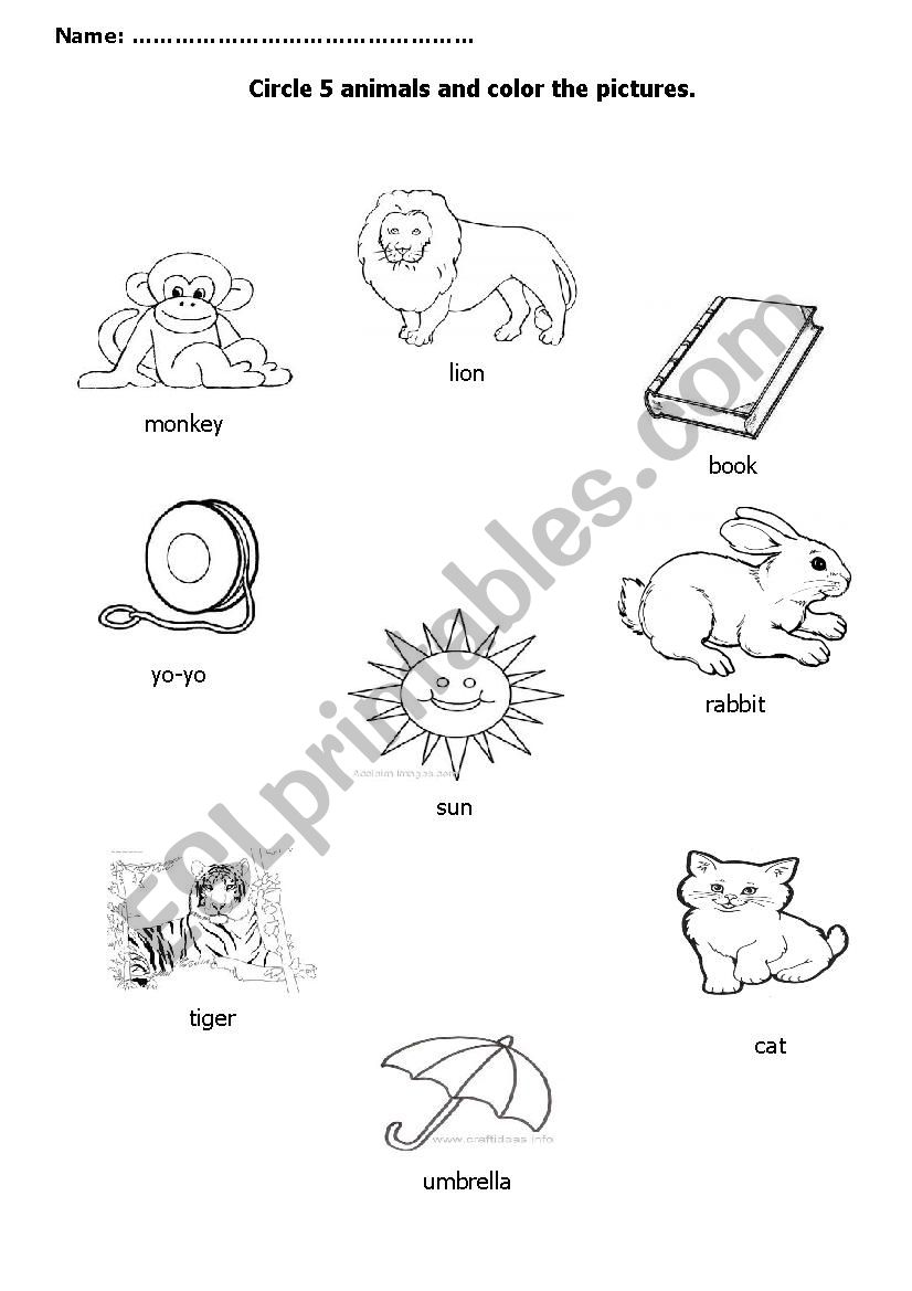 Animals worksheet