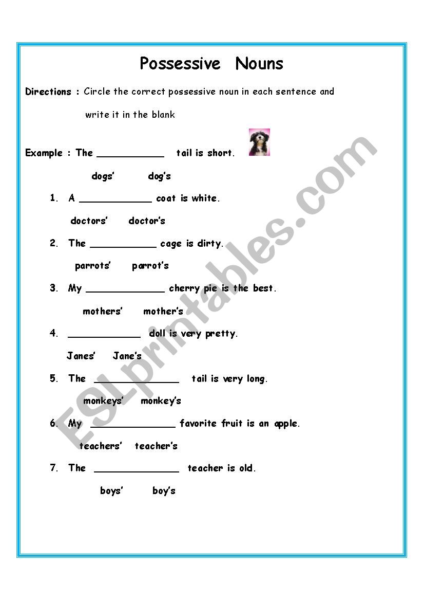 Possessive Nouns worksheet