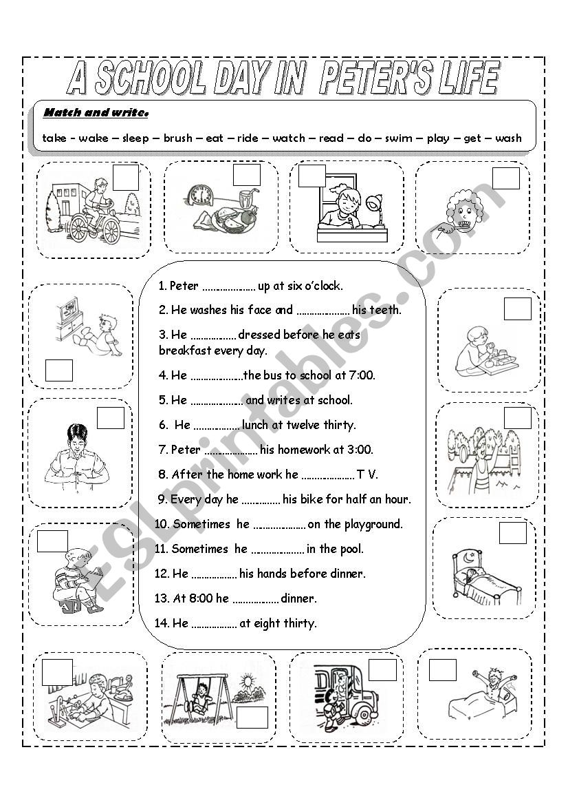 Daily Routines worksheet