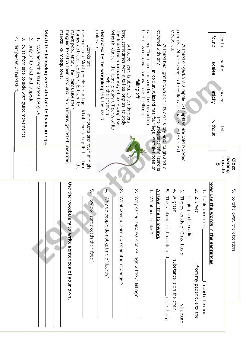 reading passage worksheet