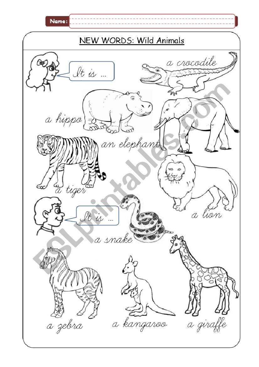 Wild animals - new words worksheet