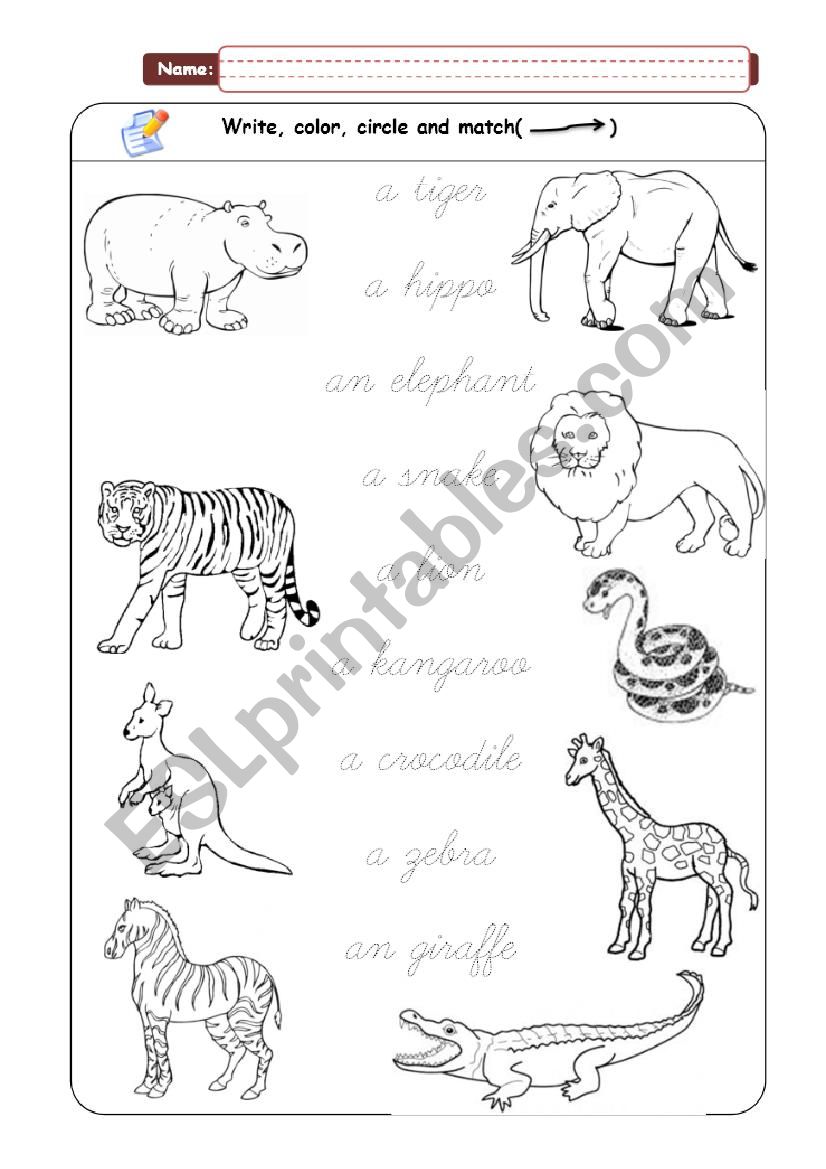 Wild animals - Matching pictures - ESL worksheet by francavelez