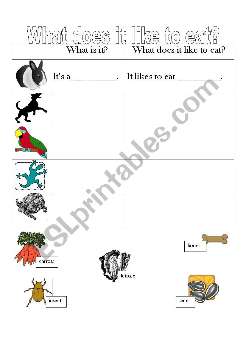 What does it eat? worksheet