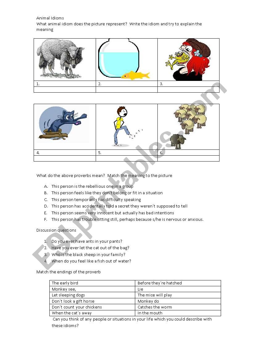 Animal idioms worksheet