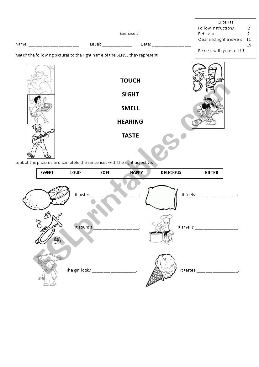 SENSES worksheet