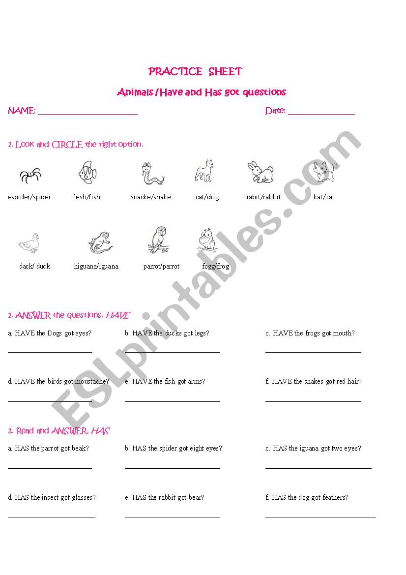 Have and has got questions worksheet