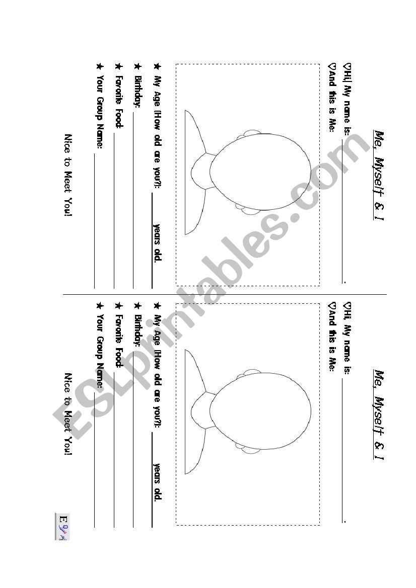 introduction worksheet