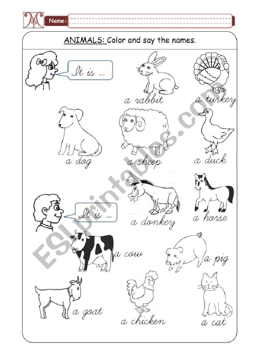 Domestic Animals - Part 01 worksheet