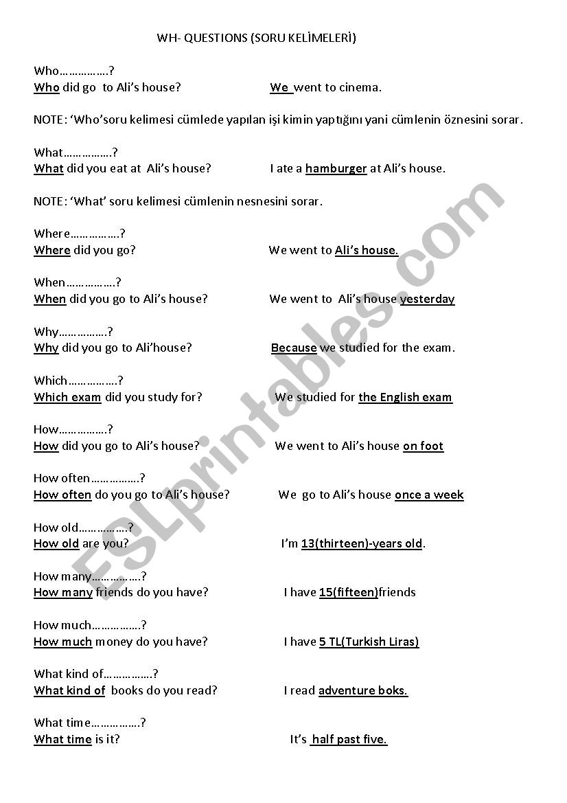 Wh- questions worksheet