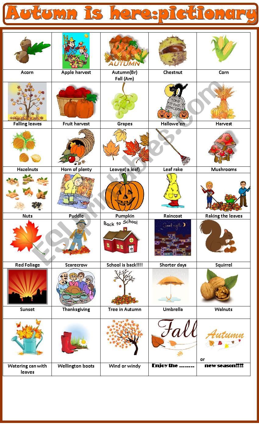 Autumn is here: pictionary worksheet