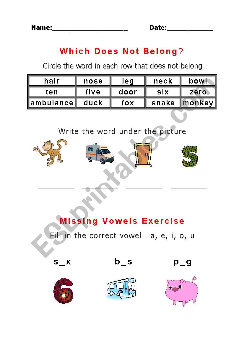 Vocabulary worksheet 2 worksheet