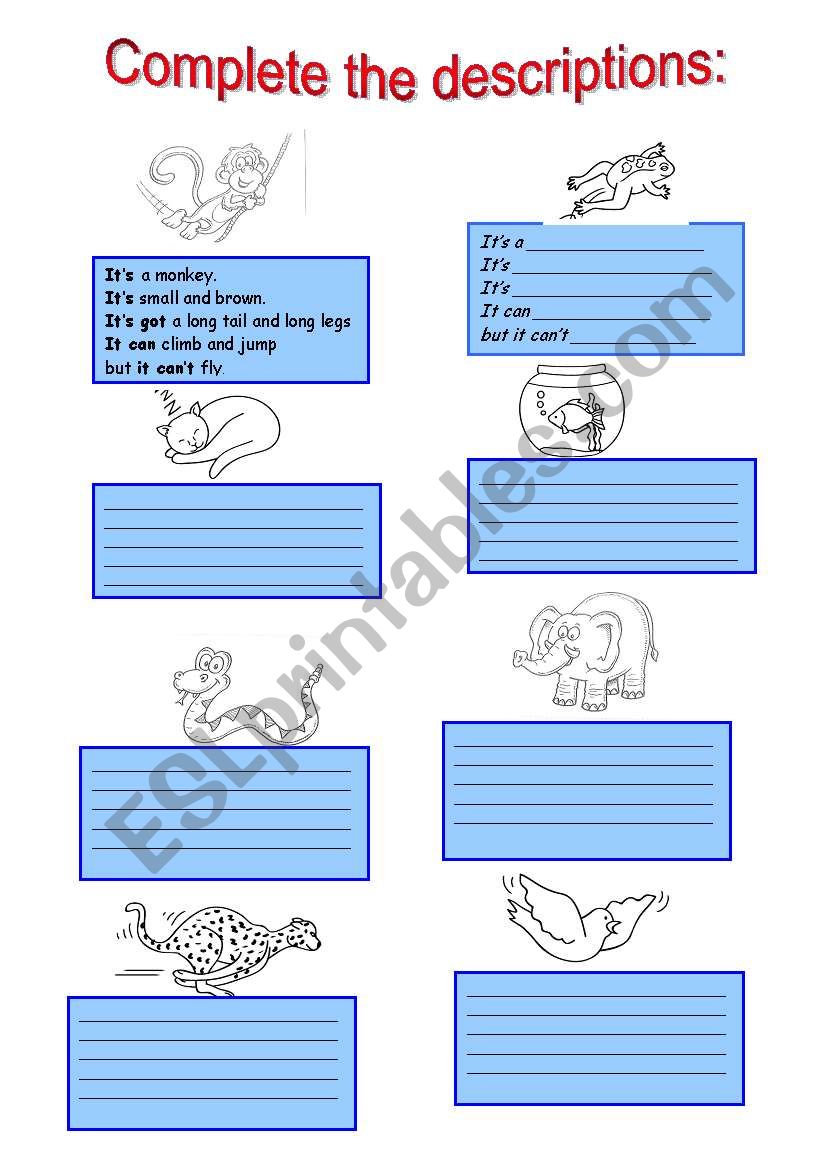 Animal description worksheet